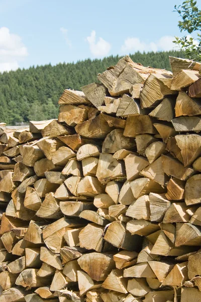 Holzstapel — Stock Photo, Image