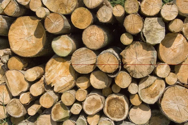 Zásobník dřeva — Stock fotografie