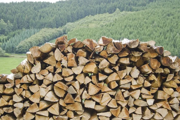 Holzstapel — Stock Photo, Image