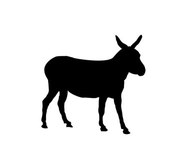 Donkey clipart