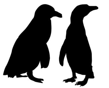 Penguen - vektör - siluet