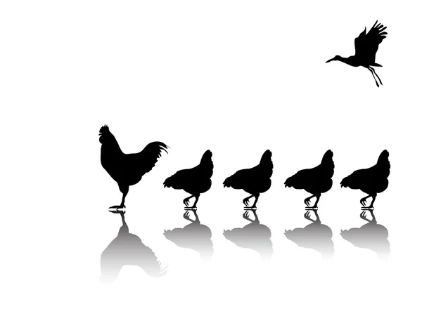 Coq avec silhouette de poulet — Image vectorielle