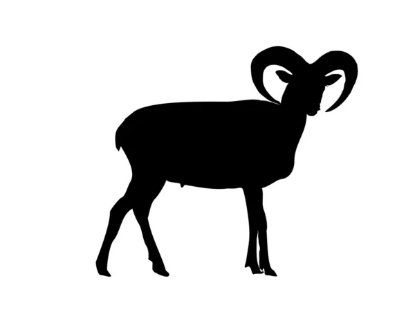 Steenbok silhouet vector — Stockvector