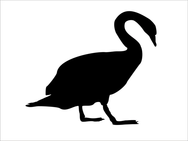 Silueta de cisne — Archivo Imágenes Vectoriales