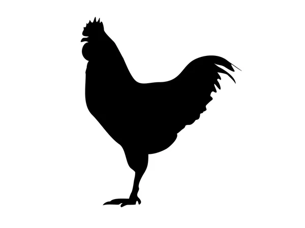 Cock-silhouette-vector — Stock Vector