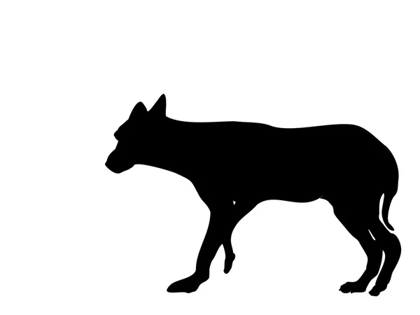 Силуэт дикого волка — стоковый вектор