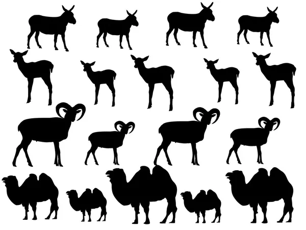 Kolekce zvířat — Stockový vektor
