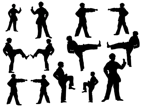 Taekwondo-jaktplan-silhouette — Stock vektor