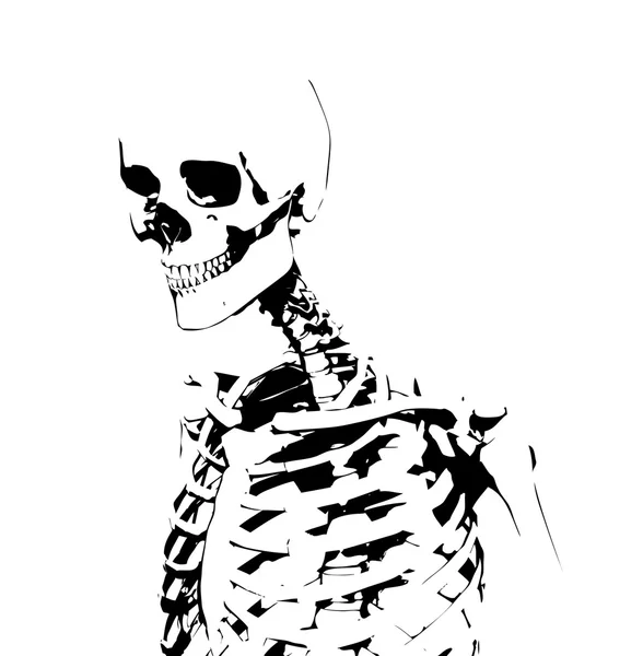 插图的骨架 — 图库照片
