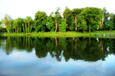 lydiard park göl ve ağaç görünümünde