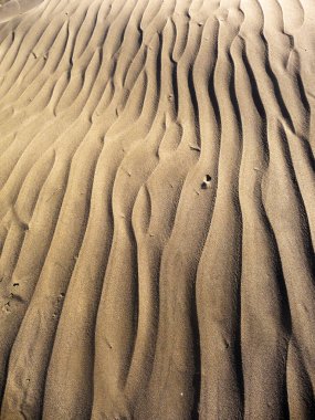 Maspalomas tepeleri