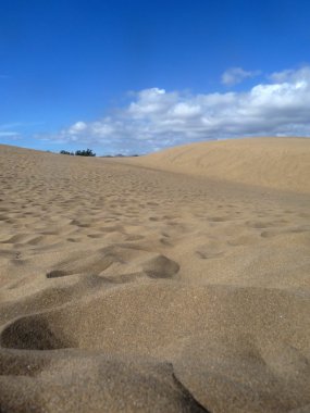 maspalomas tepeleri manzaralı görünüm