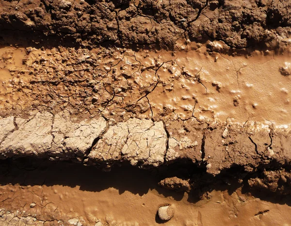 stock image Dry Mud