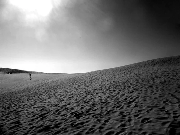 Vue Paysage Des Dunes De Maspalomas — Photo