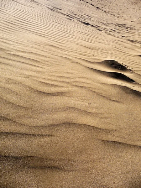 Dunes de Maspalomas — Photo