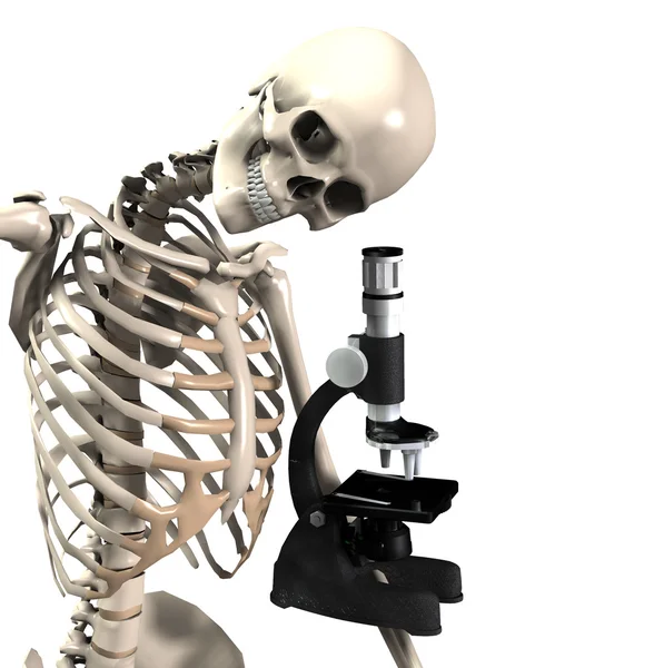 Skeleton Doing Research — Stock Photo, Image