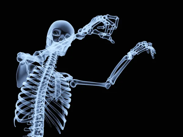 Xray skelett — Stockfoto