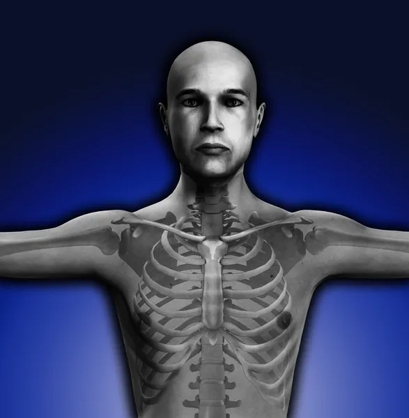 X ray muže trupu — Stock fotografie
