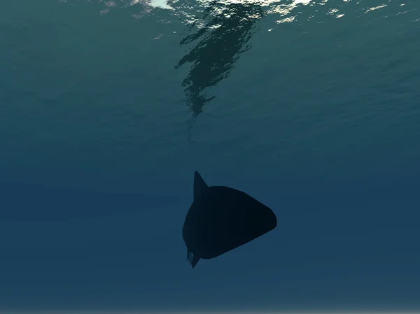 Unterwasserfische — Stockfoto