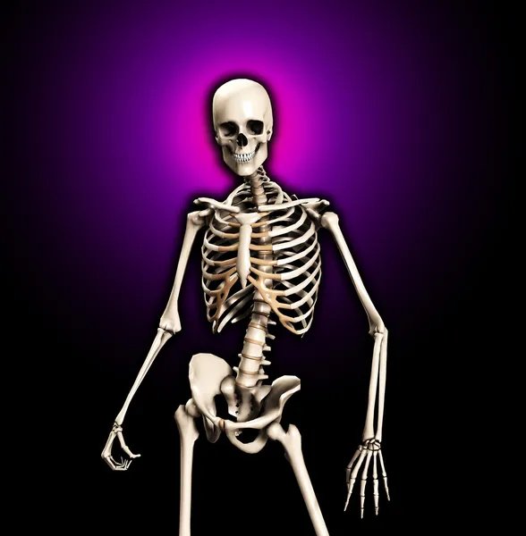 Esqueleto permanente —  Fotos de Stock