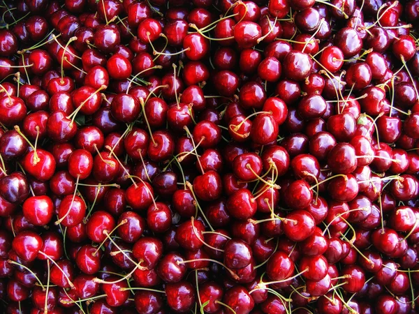 stock image Cherries