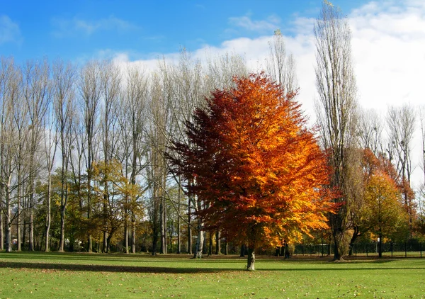 Herbst in Deutschland — Stockfoto