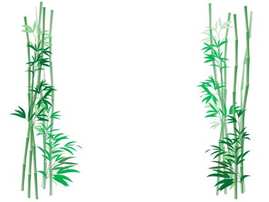 Bamboo Thicket Background clipart