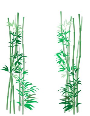 Bamboo Thicket Vertical clipart