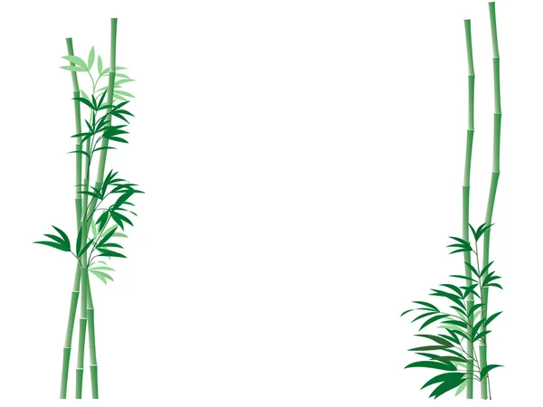 Latar Belakang Bambu — Stok Foto
