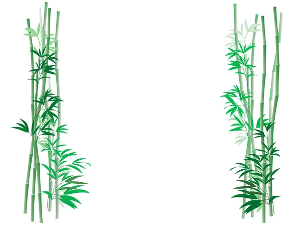 Bambusdickicht Hintergrund — Stockfoto