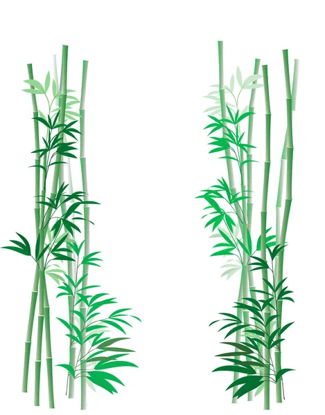 竹灌木丛垂直 — 图库照片