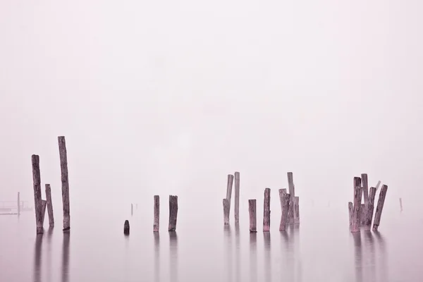 Wood in water in mist — Stock Photo, Image