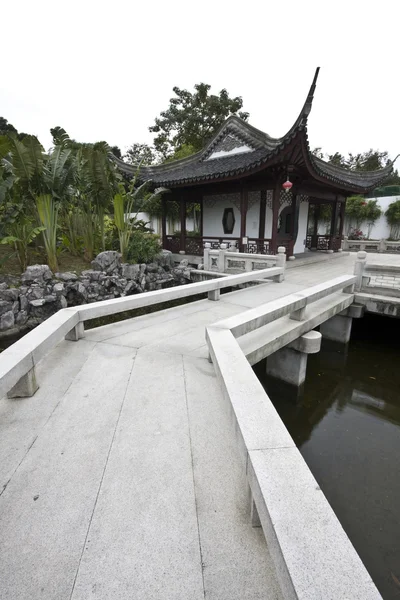 Chinese garden and pond — Stock Photo, Image