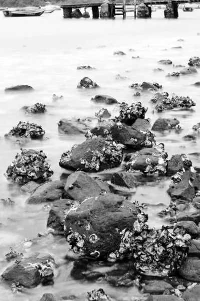Фон скального побережья — стоковое фото