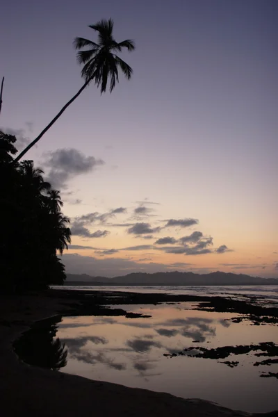 Carribean захід сонця — стокове фото