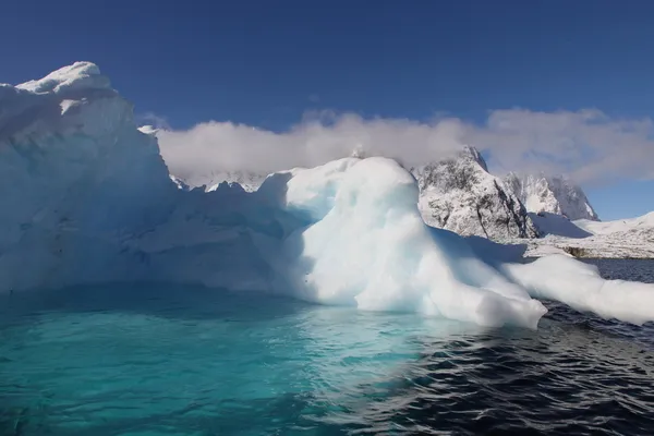 Айсберг в Антарктиде — стоковое фото