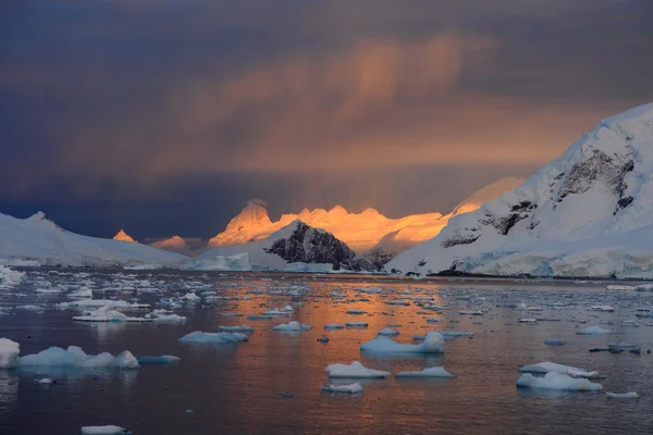 Sonnenaufgang und Eisscholle in der Antarktis Stockbild