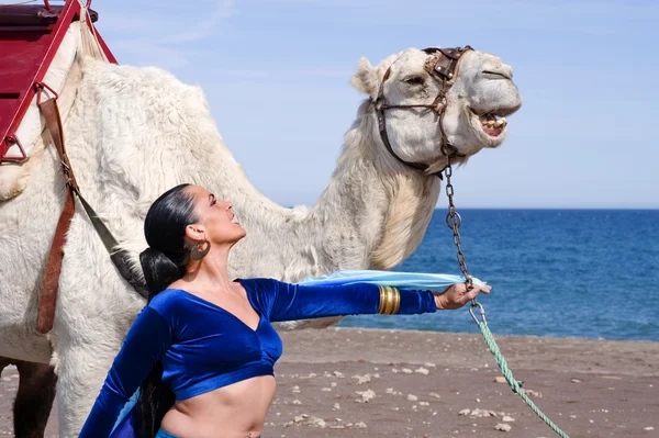 Танцор живота с верблюдом — стоковое фото