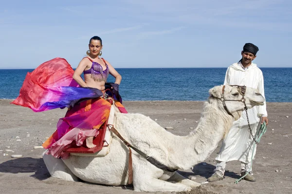 Dançarina do ventre sentada em um camelo — Fotografia de Stock