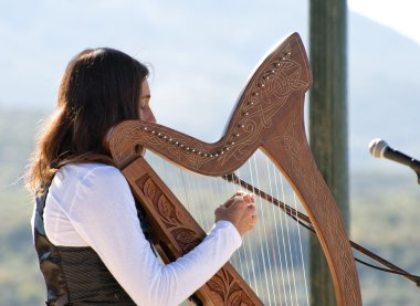 Harp being played by a woman clipart