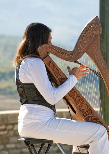 stock image Harp being played by a woman