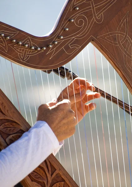 stock image Harp being played by a woman