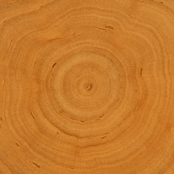 成長リング - 木製の背景 — ストック写真