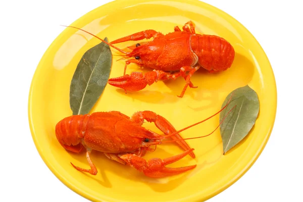 Красные вареные раки на желтой тарелке — стоковое фото