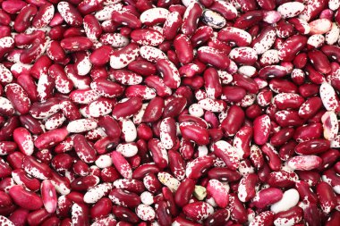 Kidney bean background clipart