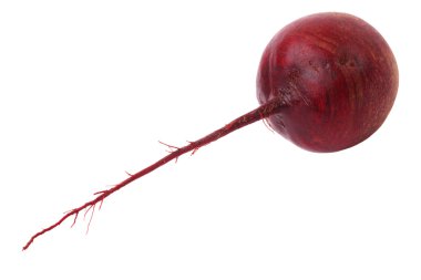 Red beet clipart