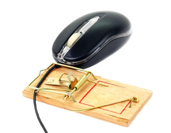 Ratón de ordenador y ratonera — Foto de Stock