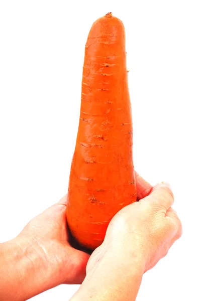 Велика морква — стокове фото