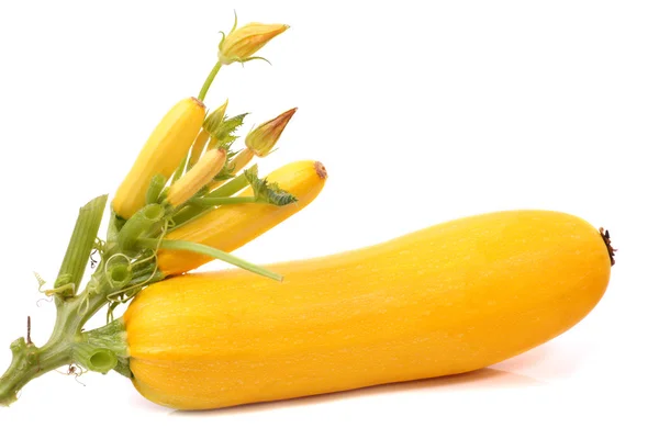 Yellow Courgettes — Stock Photo, Image