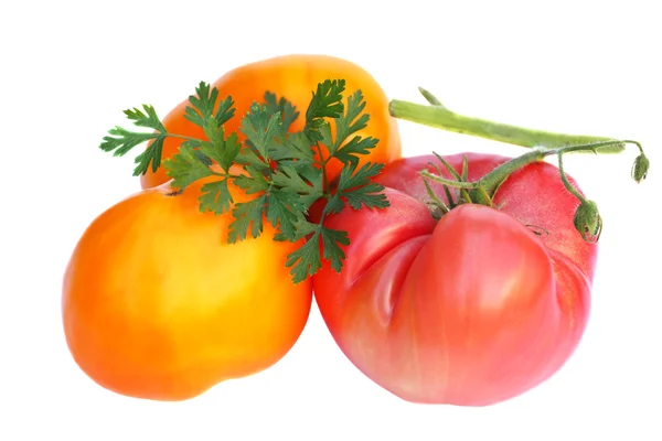 大西红柿 — 图库照片